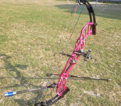 Hoyt Invicta DCX cam (6months used)