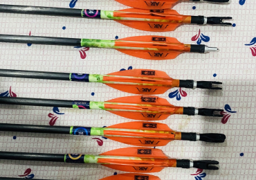 Parallel  pro arrow x10